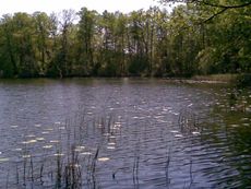 Buckow Märkische.-Schweiz 05.jpg